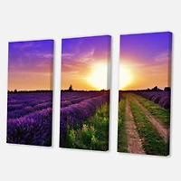 Designart - Lavender Field At Dawn II