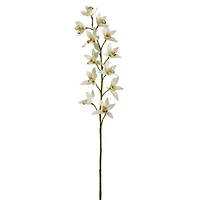 8 Pack: Cream Boat Orchid Stem by Ashland®