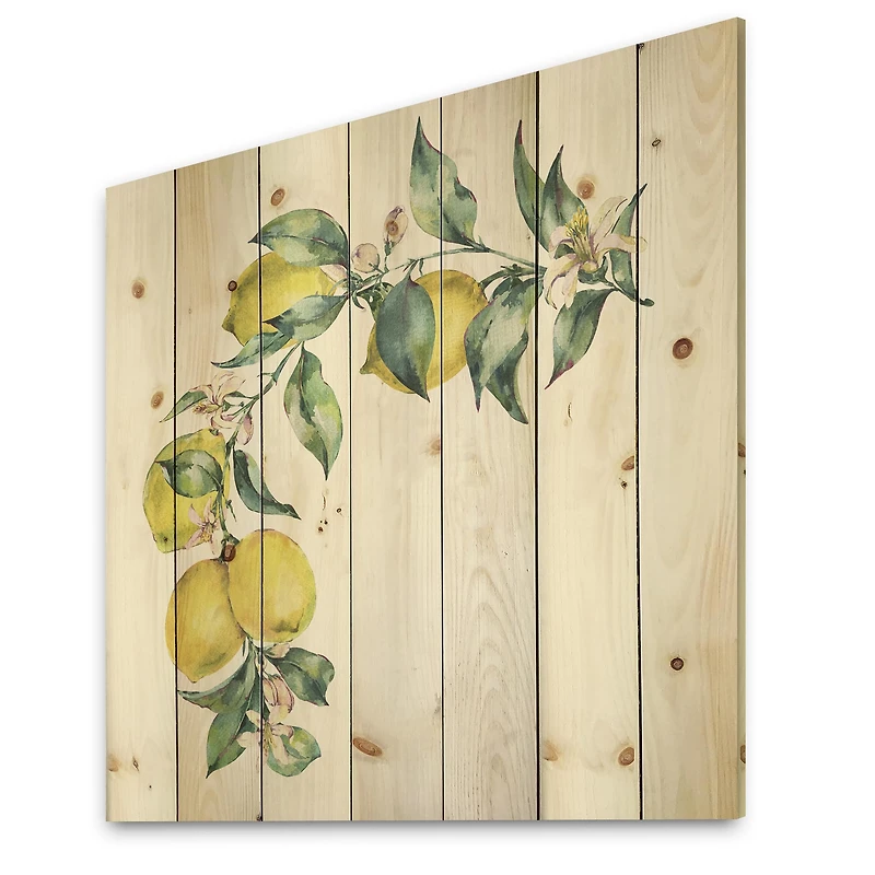 Designart - Branch of Yellow Lemons and Leaves II