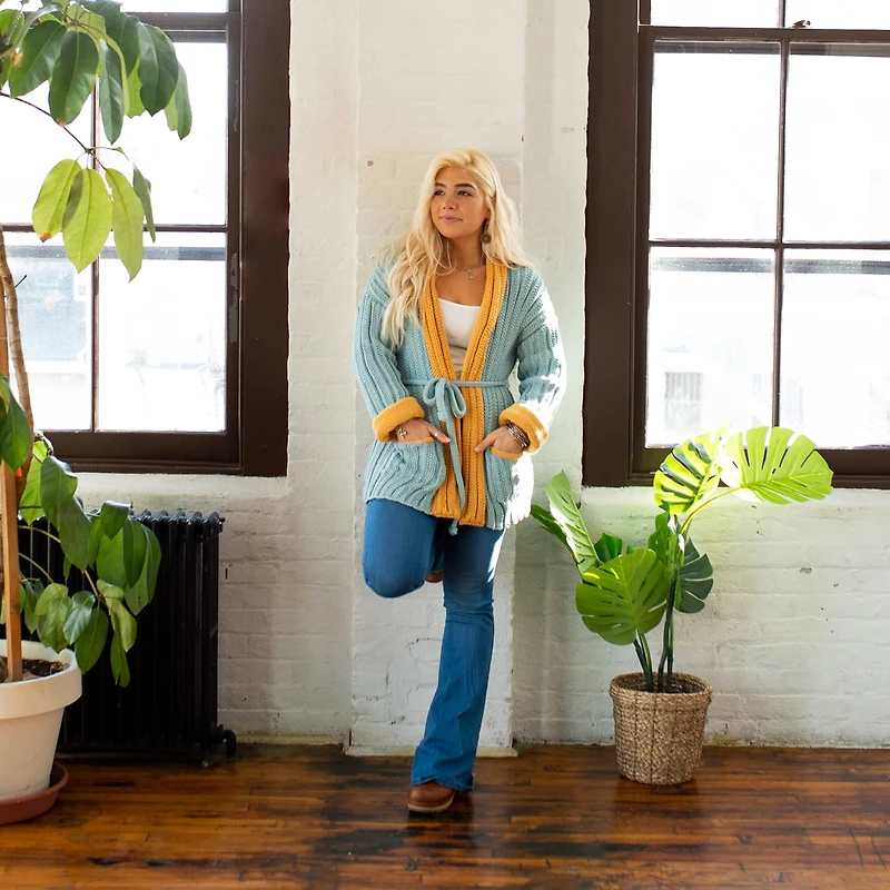 3 Pack Lion Brand® Lazy Days Yarn