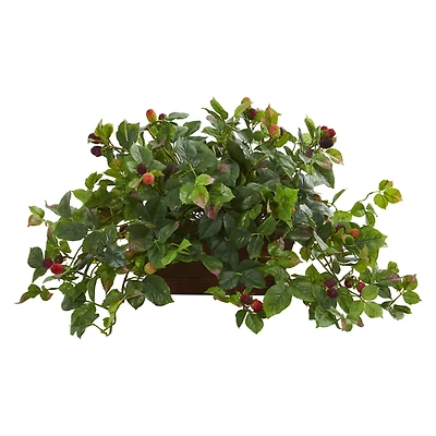 16" Raspberry Plant in Decorative Planter