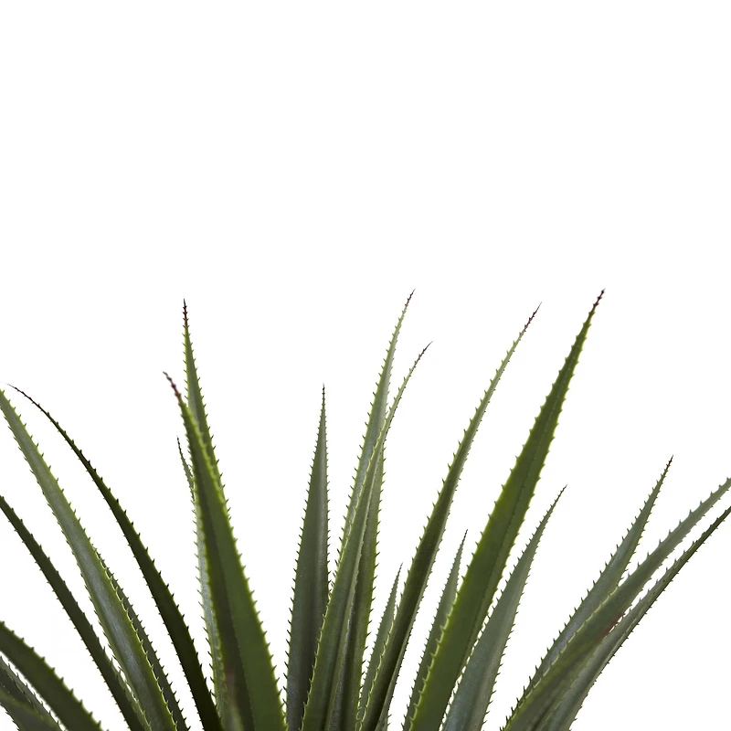 4ft. Potted Spiked Agave Plant