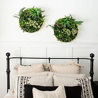 20" Framed Queensland Rainforest Artificial Living Wall Art Panel