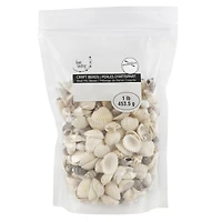 Shell Beads by Bead Landing™