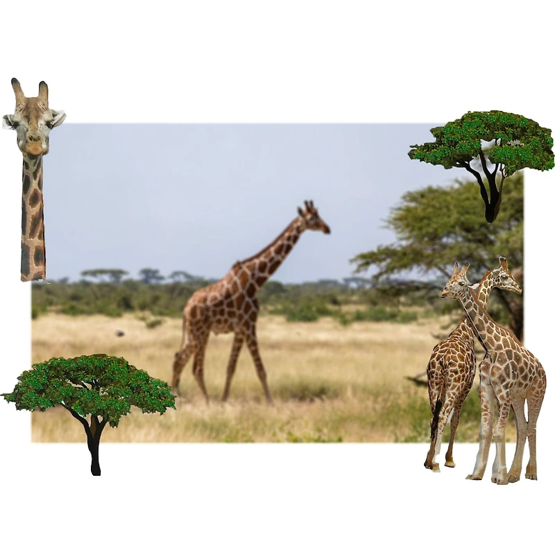 Giraffe Stickers by Recollections™