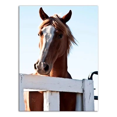 Curious Horse 18" x 24" Canvas Wall Art