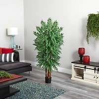 5.5ft. Potted Parlour Palm Tree