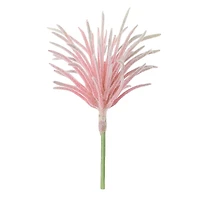 Succulent Mix by Ashland®