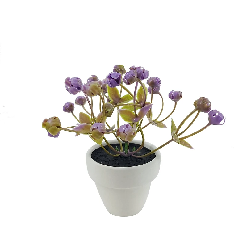 Assorted Micro Plant, 1pc. by Ashland®