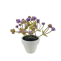 Assorted Micro Plant, 1pc. by Ashland®
