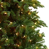9ft. Pre-Lit South Carolina Fir Artificial Christmas Tree, Clear Lights