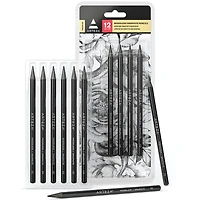Arteza® 12 Piece Woodless Graphite Pencils