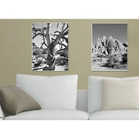 Stupell Industries Desert Landscape Photograph Canvas Wall Art