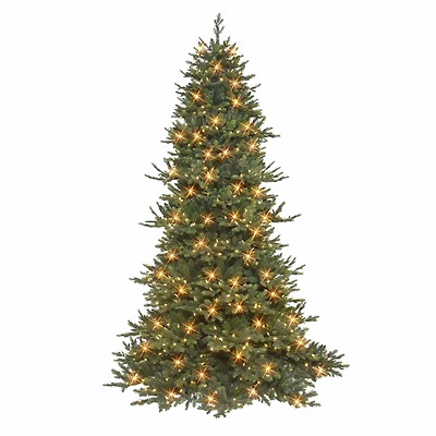 7.5ft. Pre-Lit Royal Majestic Douglas Fir Artificial Christmas Tree, Color Select LED Lights