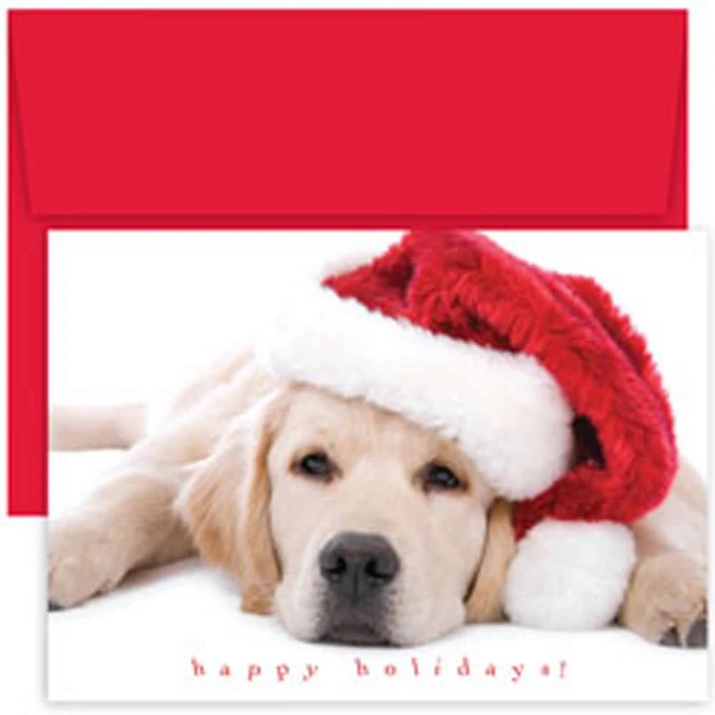 JAM Paper Santa Puppy Blank Christmas Cards Set, 18ct.