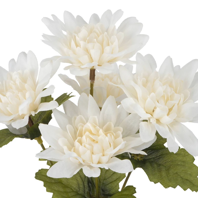 12" Dahlia Bush by Ashland