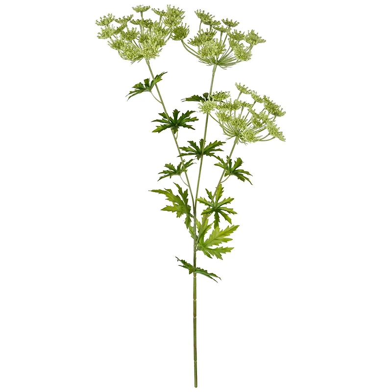 12 Pack: Light Green Queen Anne's Lace Spray by Ashland®
