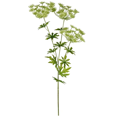 12 Pack: Light Green Queen Anne's Lace Spray by Ashland®