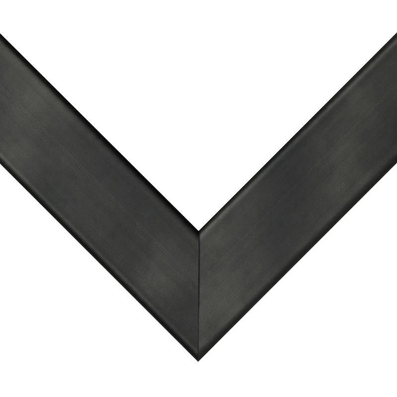 Frame USA Metal Narrow Single Image Picture Frame