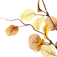 39" Brown Eucalyptus Stem by Ashland® 