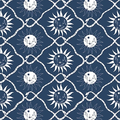 Elana Gabrielle Sol Peel & Stick Wallpaper