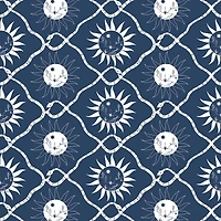 Elana Gabrielle Sol Peel & Stick Wallpaper