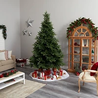 9ft. Pre-Lit North Carolina Spruce Artificial Christmas Tree, Clear Lights