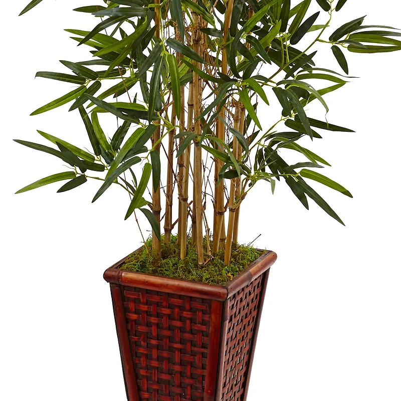 4.5ft. Bamboo Tree in Bamboo Tower Planter