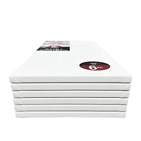 4 Packs: 6 ct. (24 total) 10" x 20" Super Value Canvas by Artist's Loft®