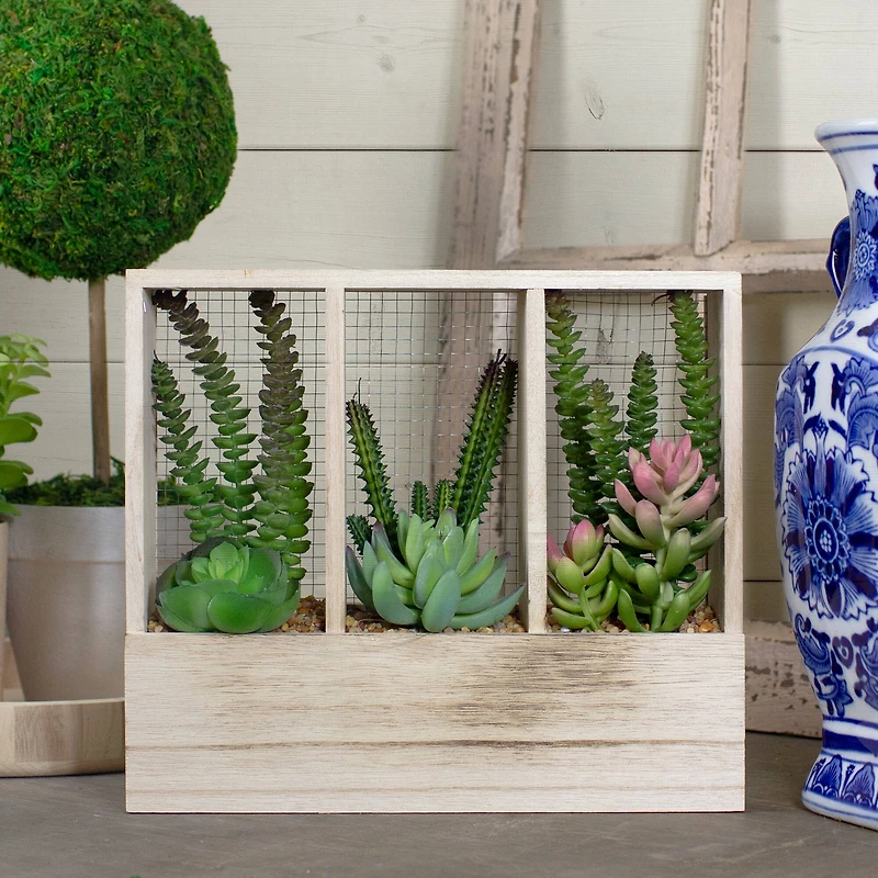 11" Mixed Succulent Arrangement in Wooden Planter Box