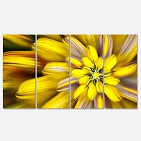 Designart - Massive Fractal Flower