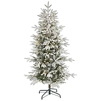 5.5ft. Pre-Lit Manchester Spruce Artificial Christmas Tree, Clear LED Lights