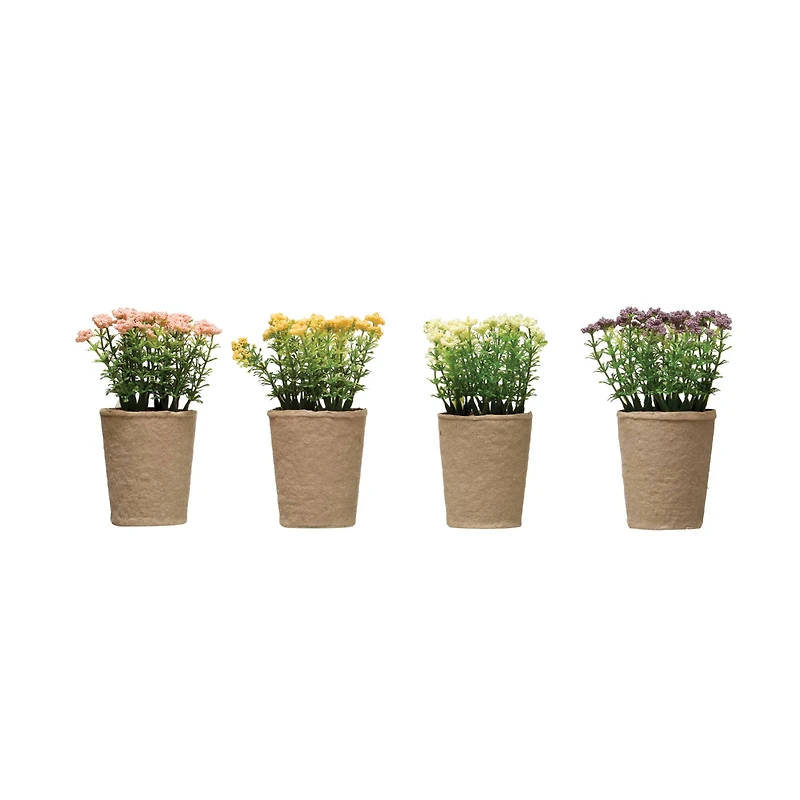 Hello Honey® 6.5" Blooming Plant, 4ct.