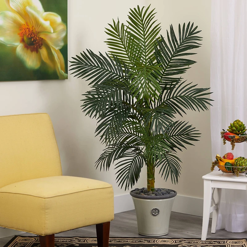 5ft. Golden Cane Palm Tree in White Planter