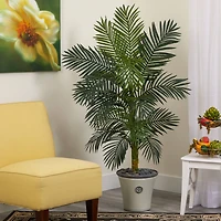 5ft. Golden Cane Palm Tree in White Planter