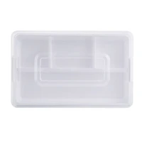 5.9qt. Storage Case by Simply Tidy®