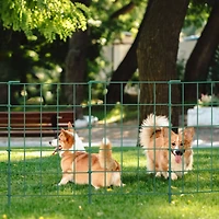 NEX™ Green Rustproof Folding Fence, 20ct.