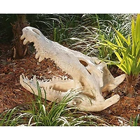 Design Toscano 28" Crocodile Skull Sculptural Artifact