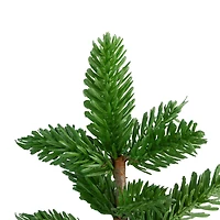 1.5ft. Unlit Medium Pine Artificial Tabletop Christmas Tree