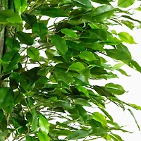 6.5ft. UV Resistant Artificial Ficus Tree (Indoor/Outdoor)