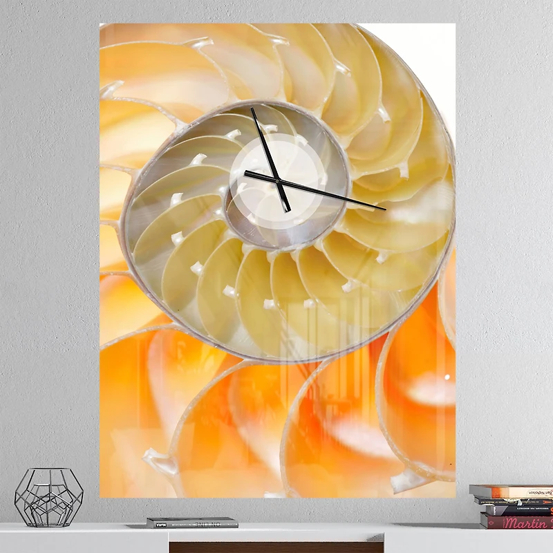 Designart 'Isolated Nautilus Shell Modern Rectangular Wall Clock