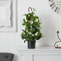 24” Potted White Stephanotis Climbing Plant 