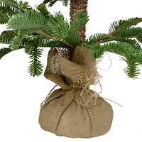 4ft. Unlit Ponderosa Pine Artificial Christmas Tree in Jute Base