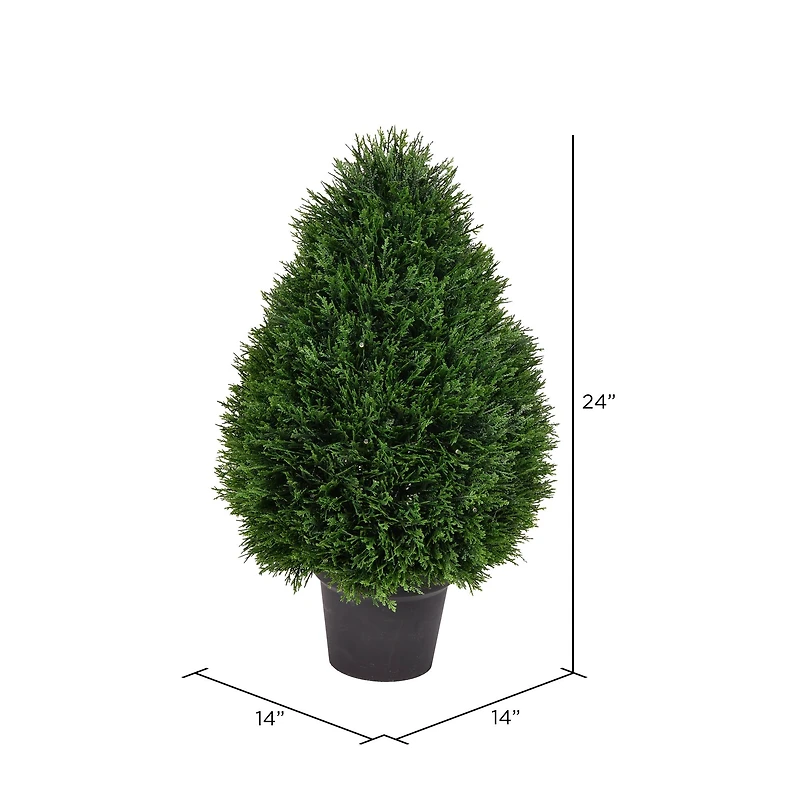 2ft. Potted Cedar Teardrop Shaped Bush