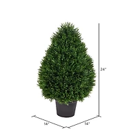 2ft. Potted Cedar Teardrop Shaped Bush