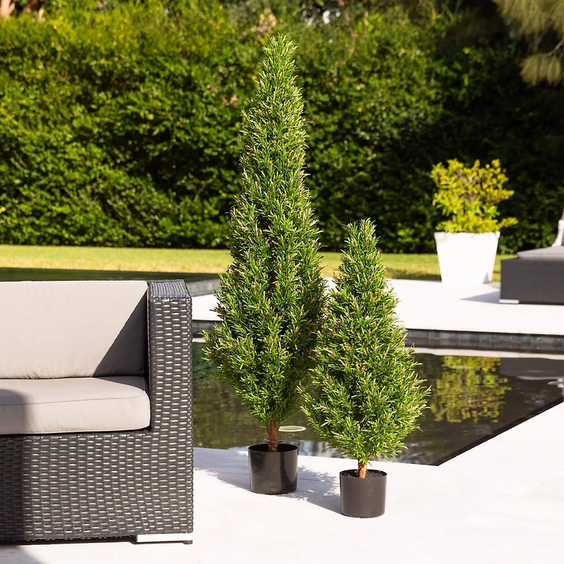 3ft. Potted UV Resistant Rosemary Cone Topiary Tree
