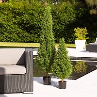 3ft. Potted UV Resistant Rosemary Cone Topiary Tree