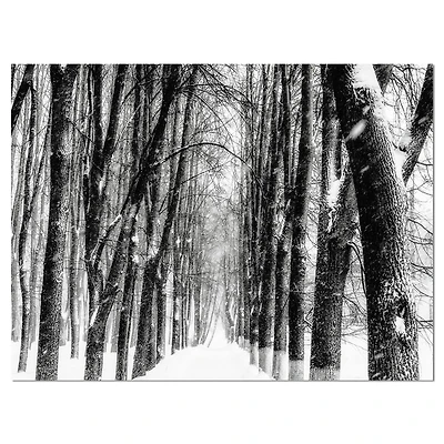Designart - Snowy Forest Black and White