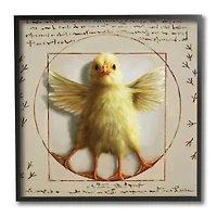 Stupell Industries Vitruvian Chick Baby Farm Chicken Animal Humor, 12" x 12"