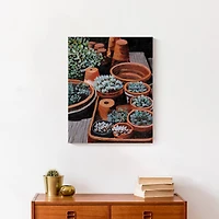 Backyard Plants 16" x 20" Canvas Wall Art